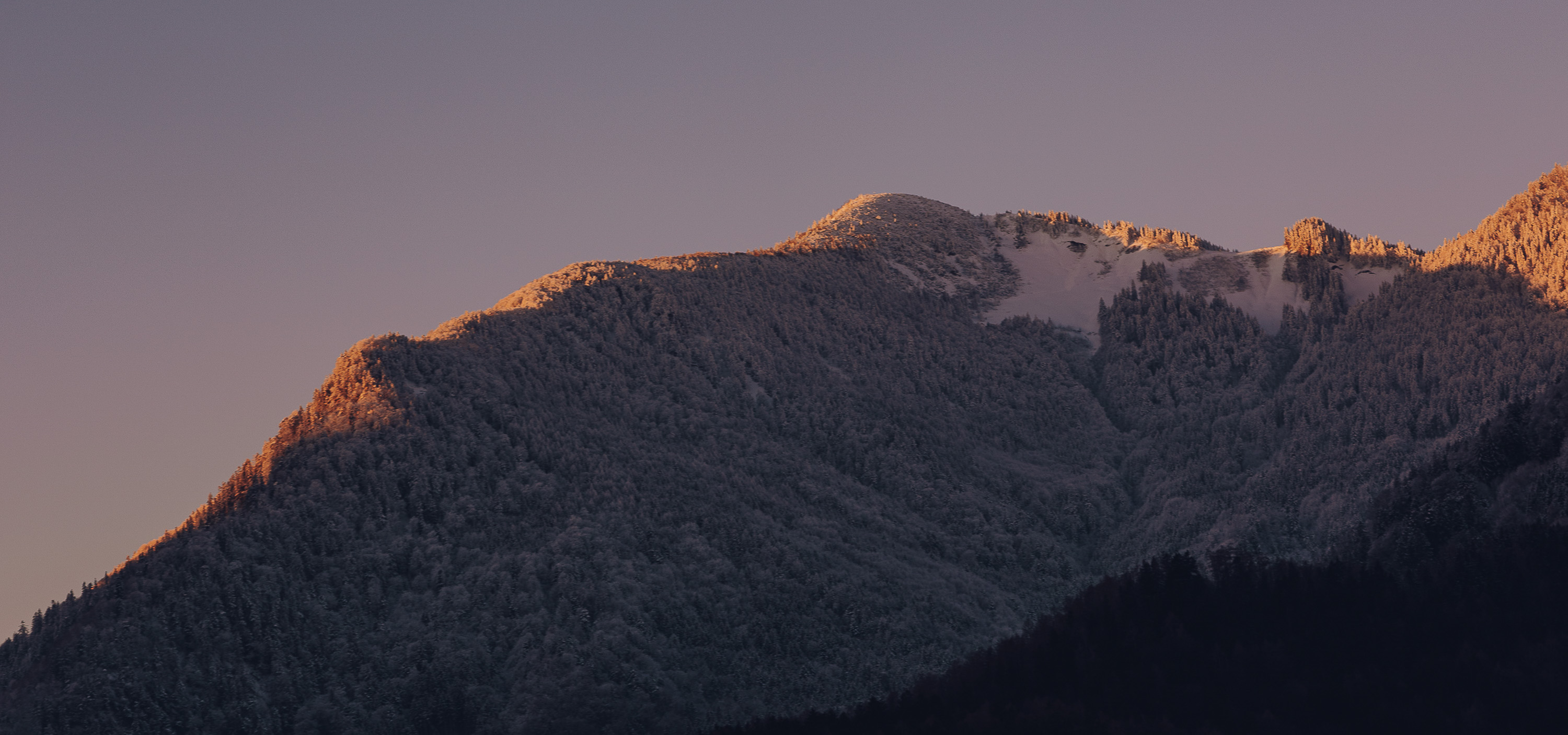 Winterliches Bergpanorama in Reit im Winkl