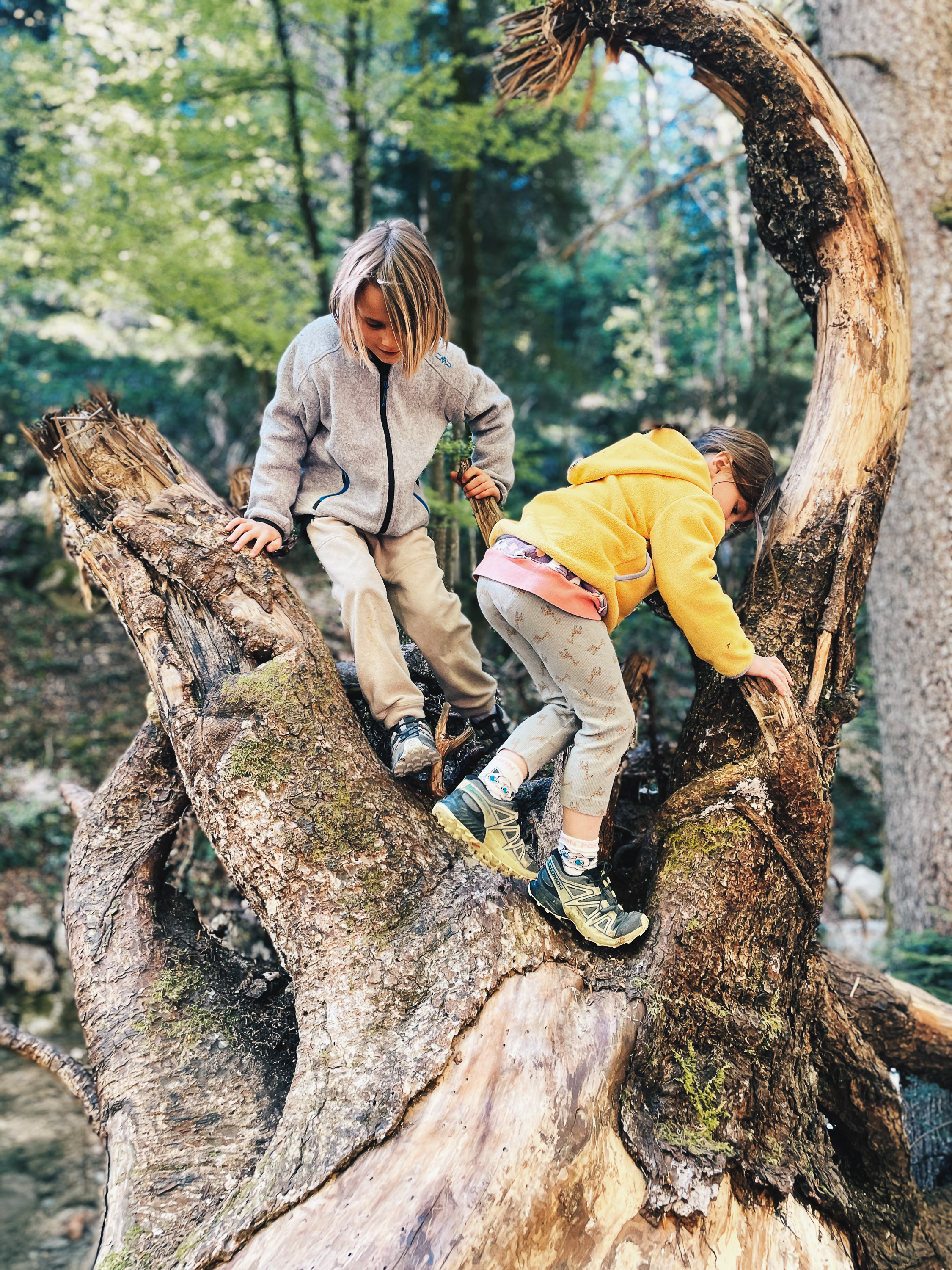 Zwei Kinder beim Klettern auf einer großen Baumwurzel auf dem Weg zur Feldlahnalm