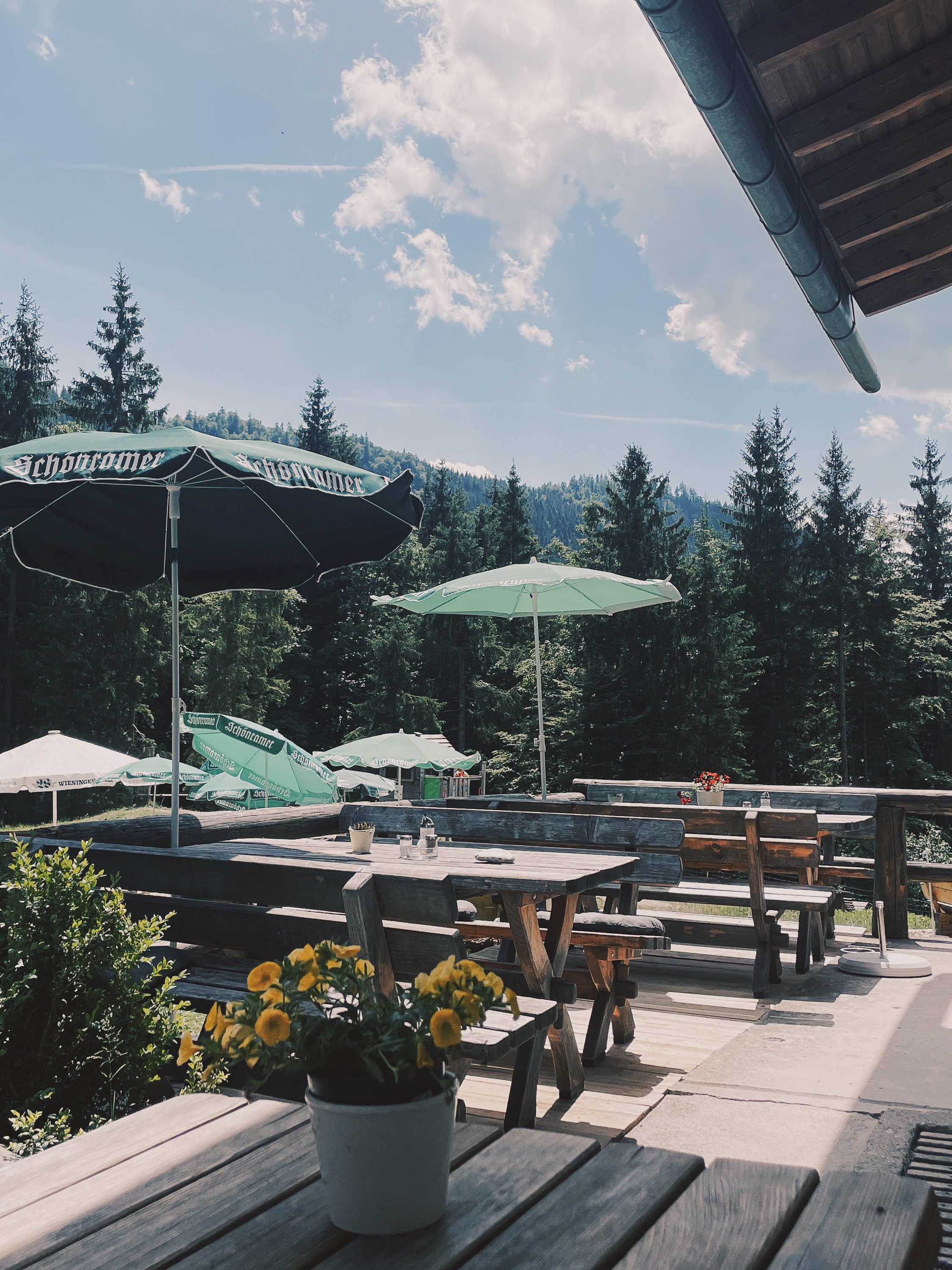 Terrasse der Feldlahnalm mit Sitzplätzen und Blick auf die Berge