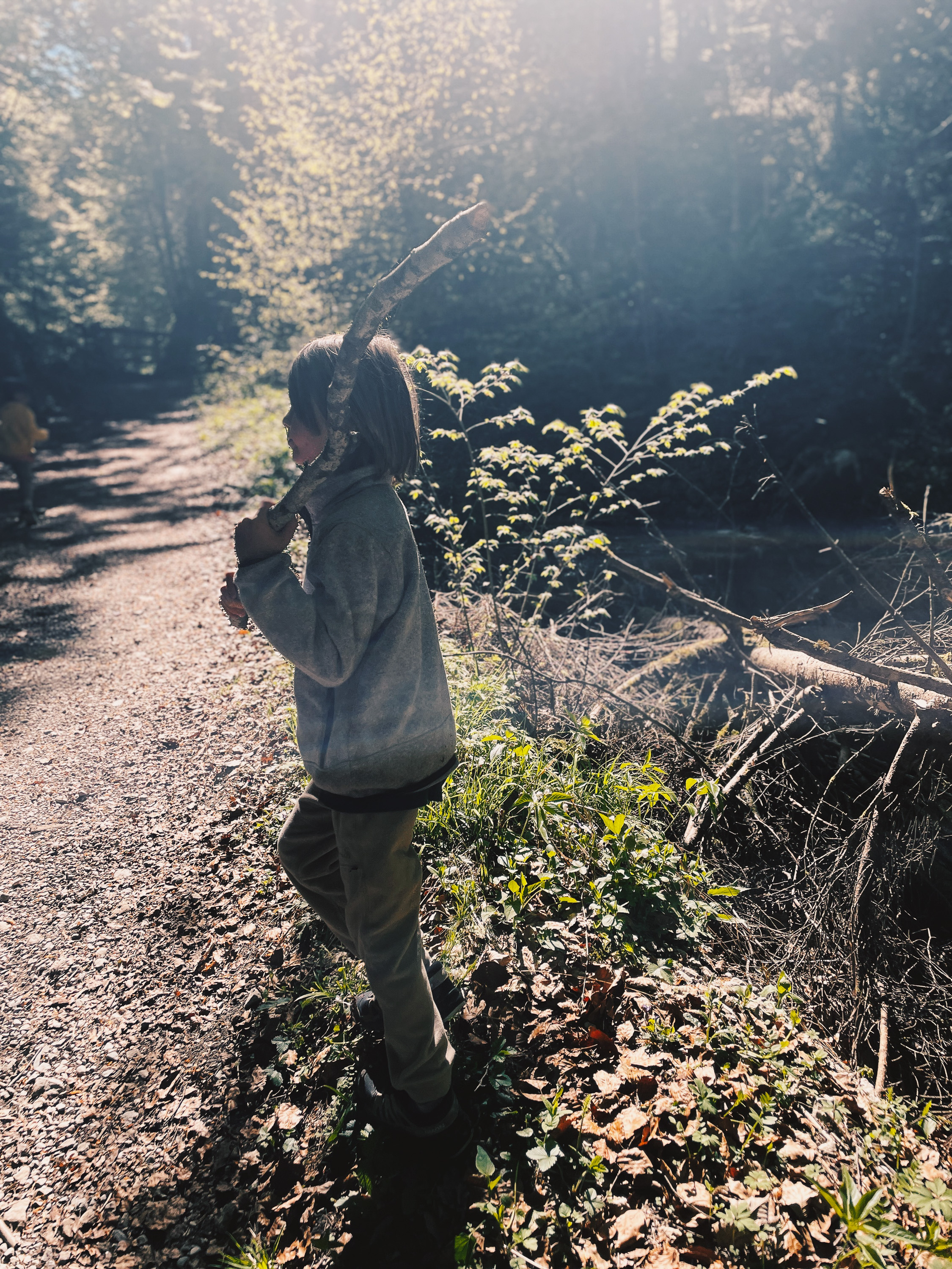 Kind beim Wandern durch den Wald zur Feldlahnalm