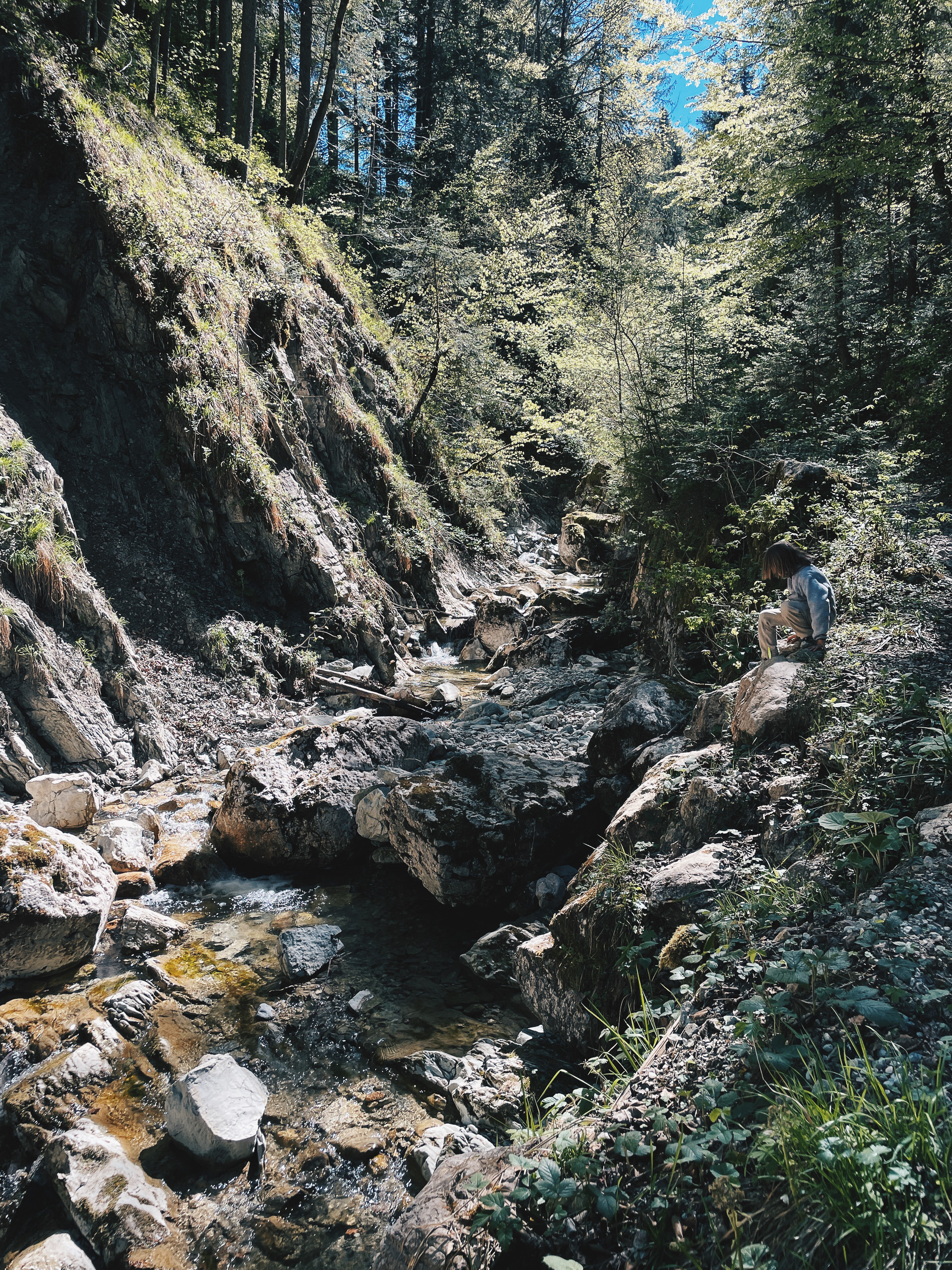 Bachlauf im Hammerergraben auf dem Wanderweg zur Feldlahnalm