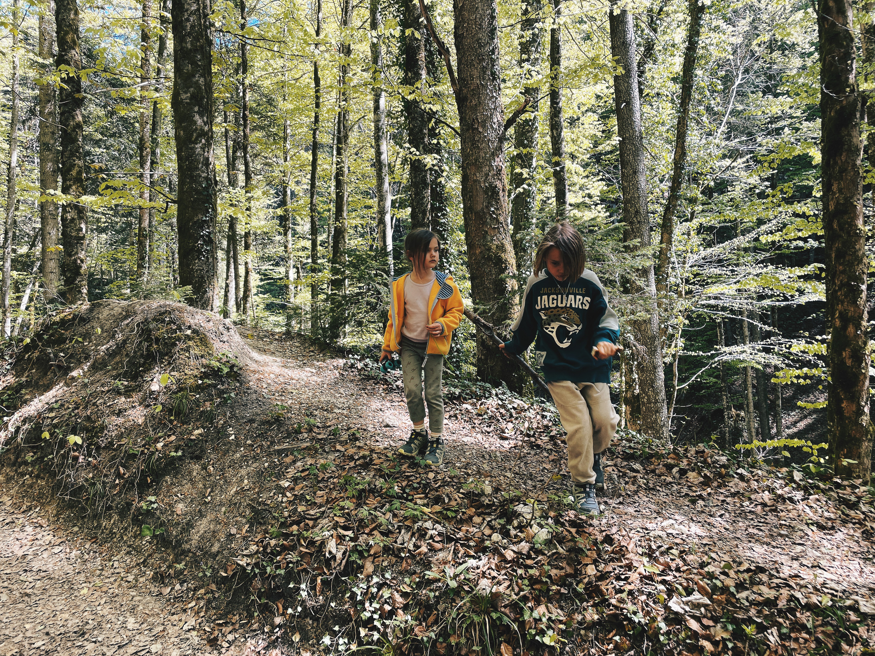 Kinder auf dem Wanderweg durch den Wald zur Feldlahnalm