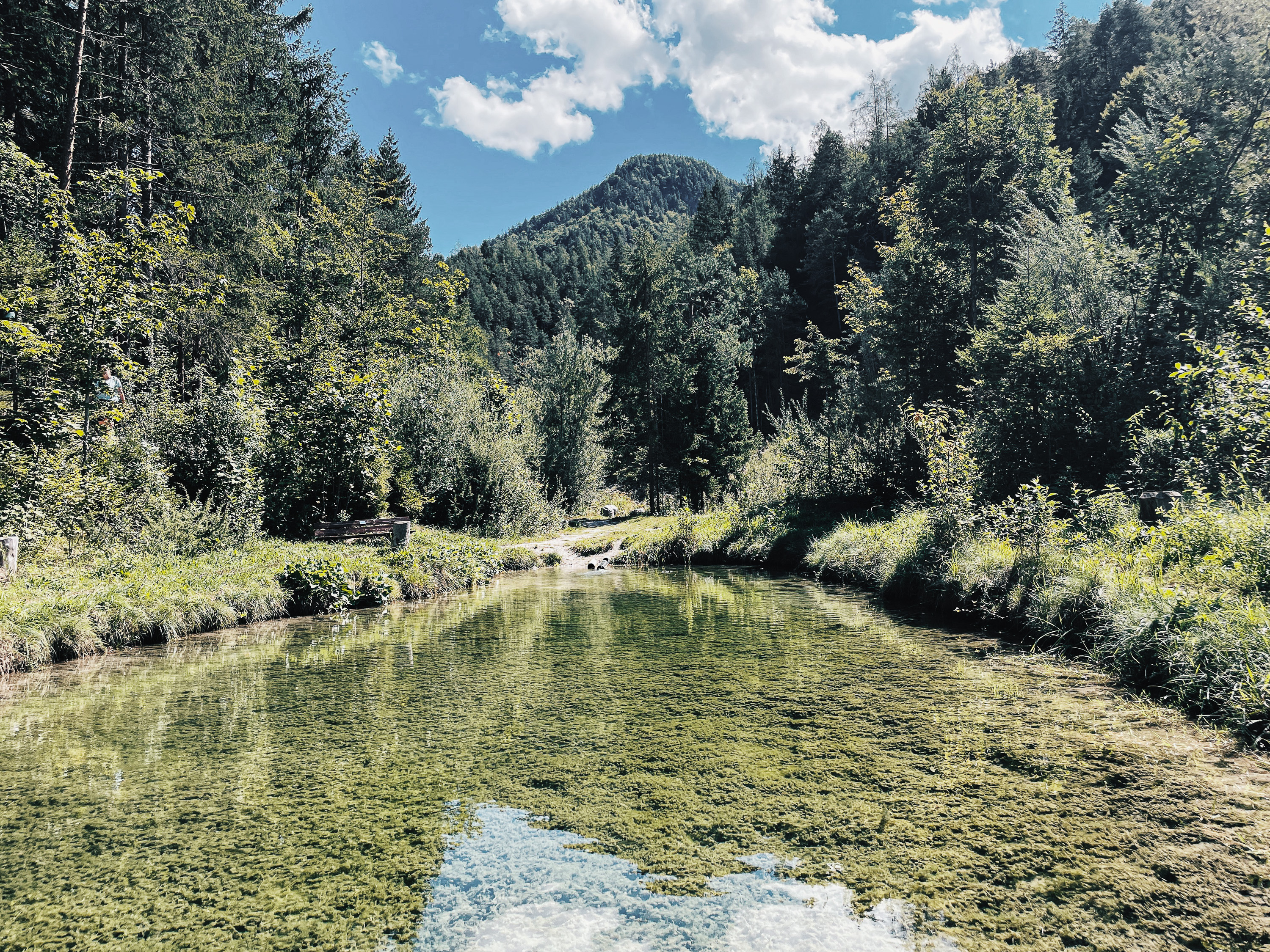 Kleiner Stausee in der Natur bei der Grießbachklamm