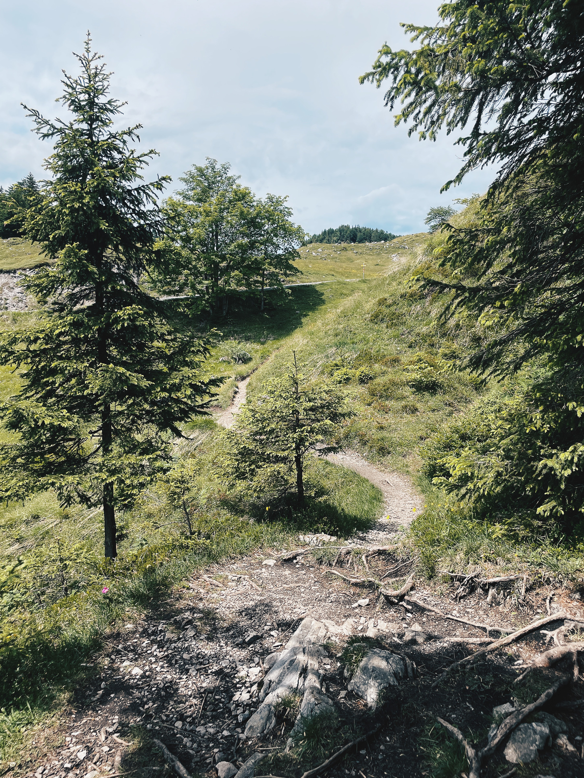 Wanderweg mit Blick auf die Berglandschaft bei der Teufelsgasse